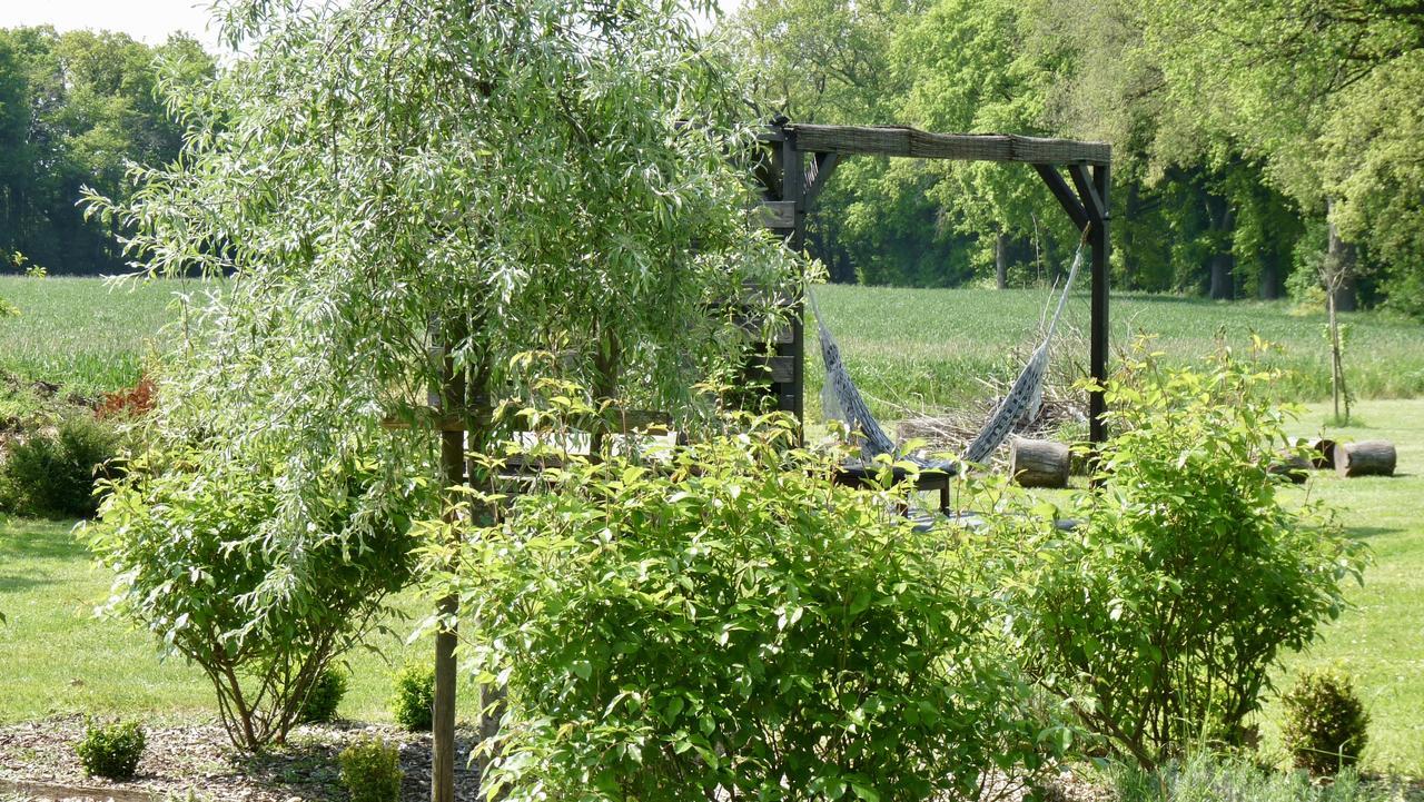 La Ligne Bed & Breakfast Angles-sur-l'Anglin Exterior photo
